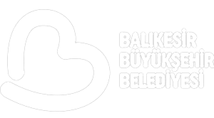Balıkesir Üniversitesi